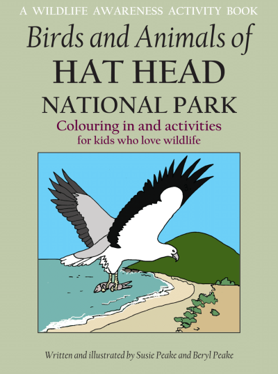 Birds and Animals of Hat Head National Park