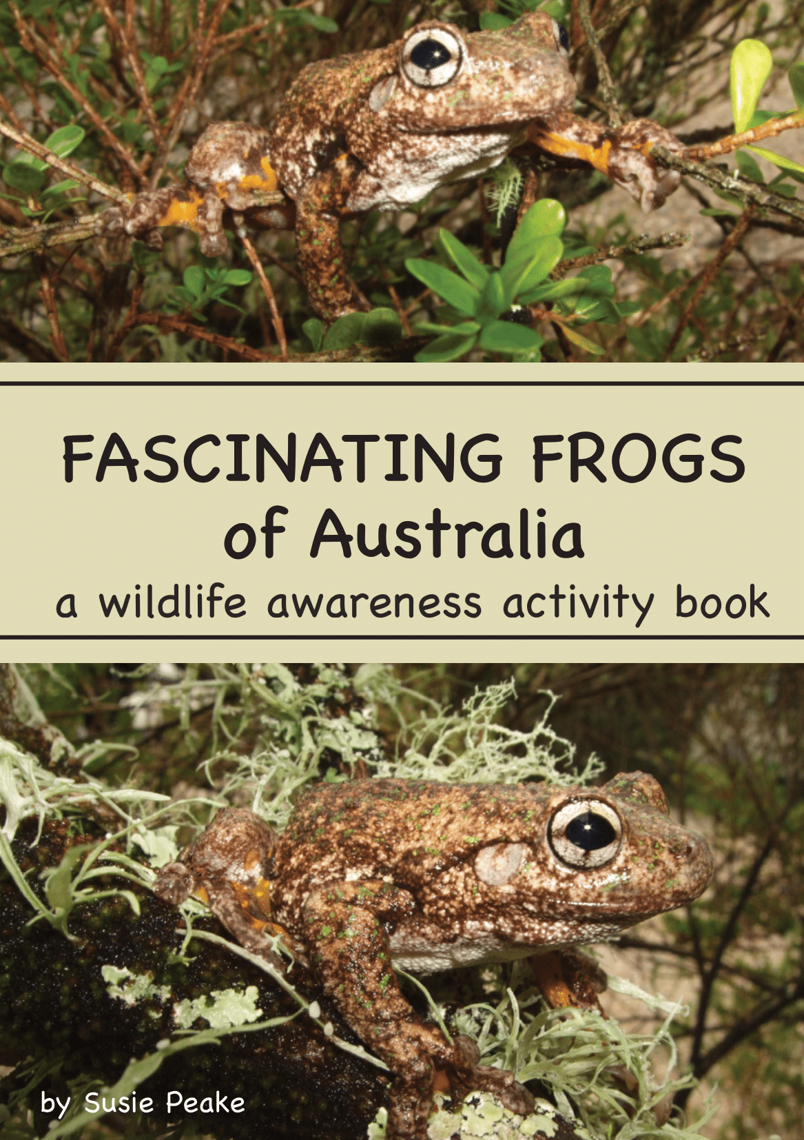 Fascinating Frogs of Australia