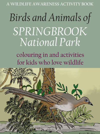 BIrds and Animals of Springbrook National Park